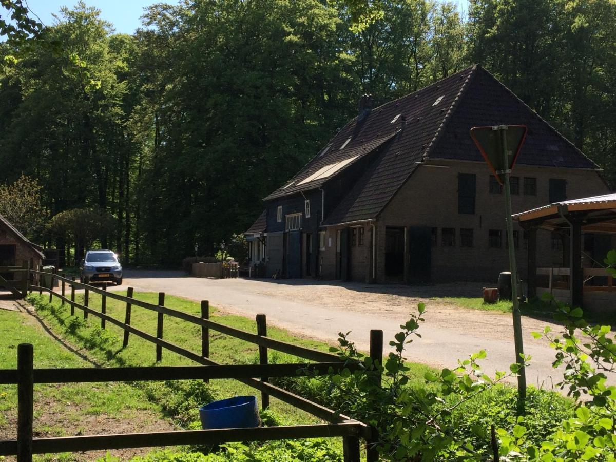 Boerderij De Enkhoeve Laag-Soeren Ngoại thất bức ảnh