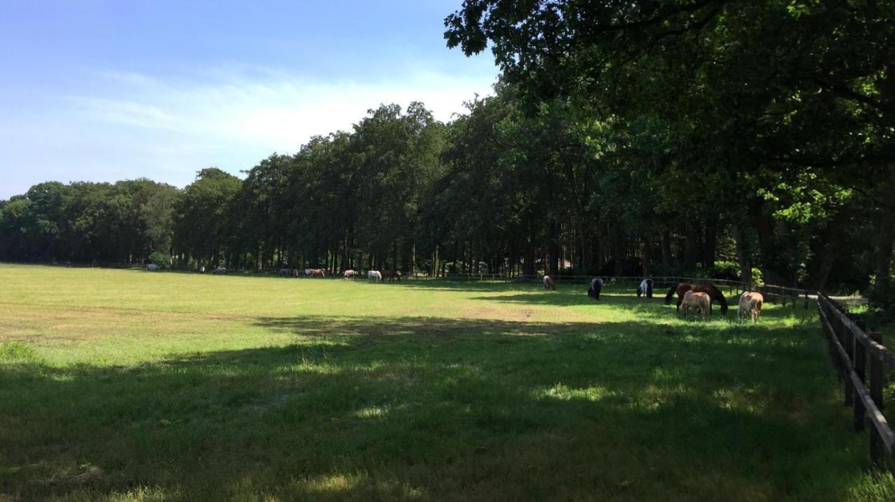 Boerderij De Enkhoeve Laag-Soeren Ngoại thất bức ảnh