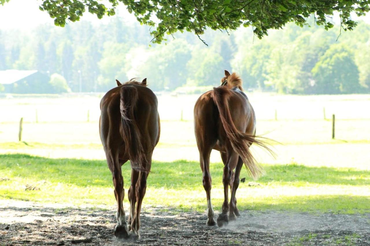 Boerderij De Enkhoeve Laag-Soeren Ngoại thất bức ảnh